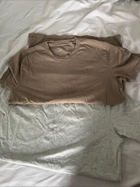 Hollister Brown and Grey Short Sleeve Crew T-Shirt